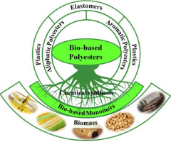 Bio-Based Polyesters: Sustainable Materials for Modern Industry