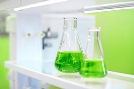 Solvent-Free Coatings: Green Solutions for Modern Industry